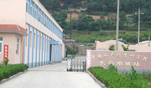 煙臺金順門業